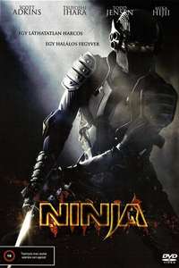 Ninja - Posters
