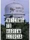 Welcome to Harlem  Georgia