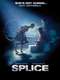 Splice