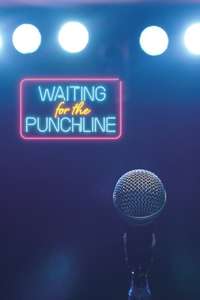 Waiting For The Punchline - Poster