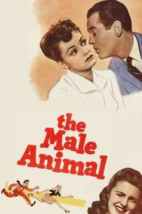 The Male Animal - Posters