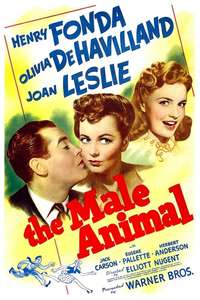 The Male Animal - Posters