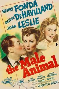 The Male Animal - Posters