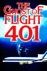 The Ghost of Flight 401 - Poster