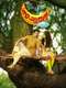 Thattumpurath Achuthan