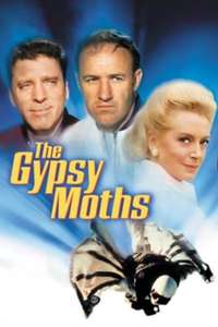 The Gypsy Moths - Poster
