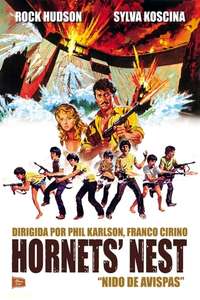 Hornet's Nest - Poster