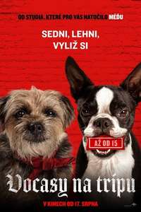 Strays - Posters