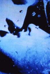 Self-Portrait in 23 Rounds: a Chapter in David Wojnarowicz’s Life  1989–1991
