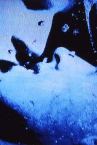 Self-Portrait in 23 Rounds: a Chapter in David Wojnarowicz’s Life  1989–1991 - Posters