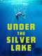 Under the Silver Lake
