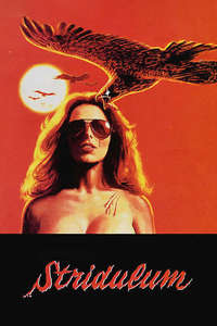 The Visitor - Poster