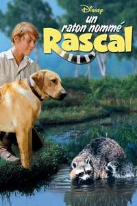 Rascal - Posters