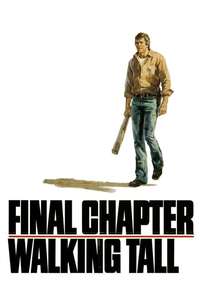 Final Chapter: Walking Tall - Poster