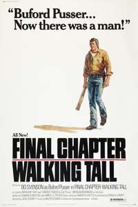 Final Chapter: Walking Tall - Poster