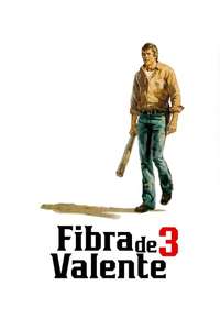 Final Chapter: Walking Tall - Poster