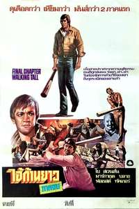 Final Chapter: Walking Tall - Poster