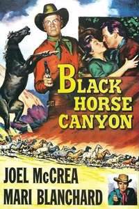 Black Horse Canyon - Poster