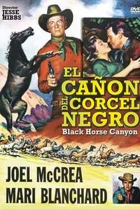 Black Horse Canyon - Poster
