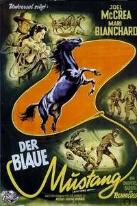 Black Horse Canyon - Poster