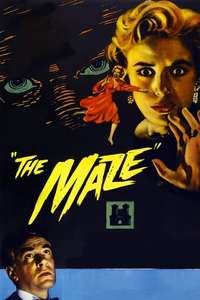 The Maze - Poster