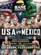 BKFC 4