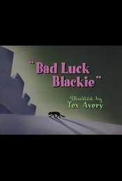 Bad Luck Blackie