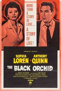 The Black Orchid - Poster