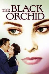 The Black Orchid - Poster