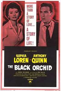 The Black Orchid - Poster