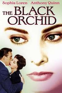 The Black Orchid - Poster