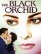 The Black Orchid