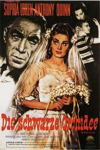 The Black Orchid - Poster