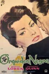 The Black Orchid - Poster