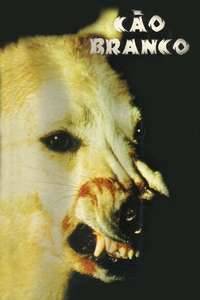 White Dog - Poster