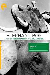 Elephant Boy