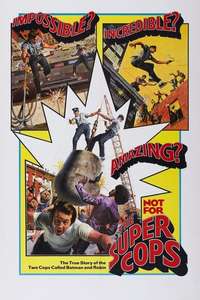 The Super Cops - Posters