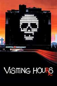 Visiting Hours - Poster