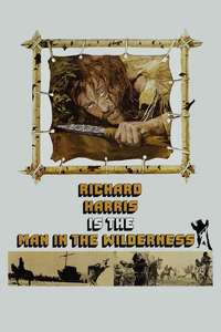 Man in the Wilderness - Poster