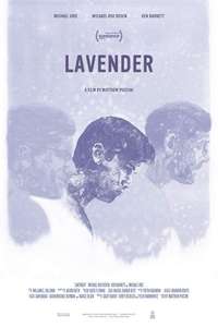 Lavender - Poster