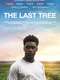 The Last Tree