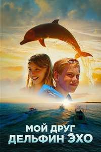 Dolphin Kick - Poster