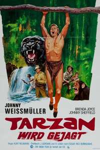 Tarzan and the Huntress - Poster