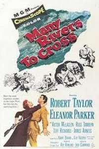 Many Rivers to Cross - Posters