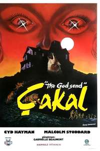 The Godsend - Posters