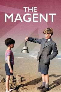 The Magnet - Posters