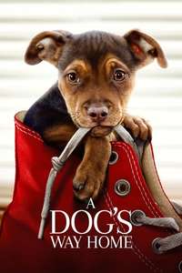 A Dog's Way Home - Poster