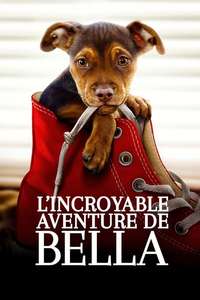 A Dog's Way Home - Poster