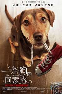 A Dog's Way Home - Poster