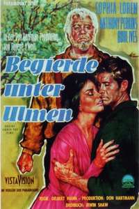 Desire Under the Elms - Posters